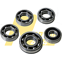 Set Of 5 Bearings T/Box Suzuki