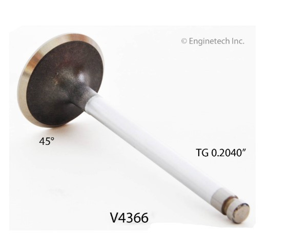 Intake Valve, GM