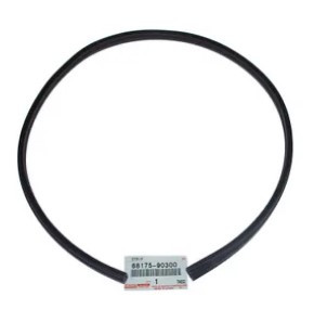 Door Glazing Seal, Landcruiser Series 40
