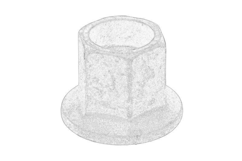 Nut Lower controlarm Vigo