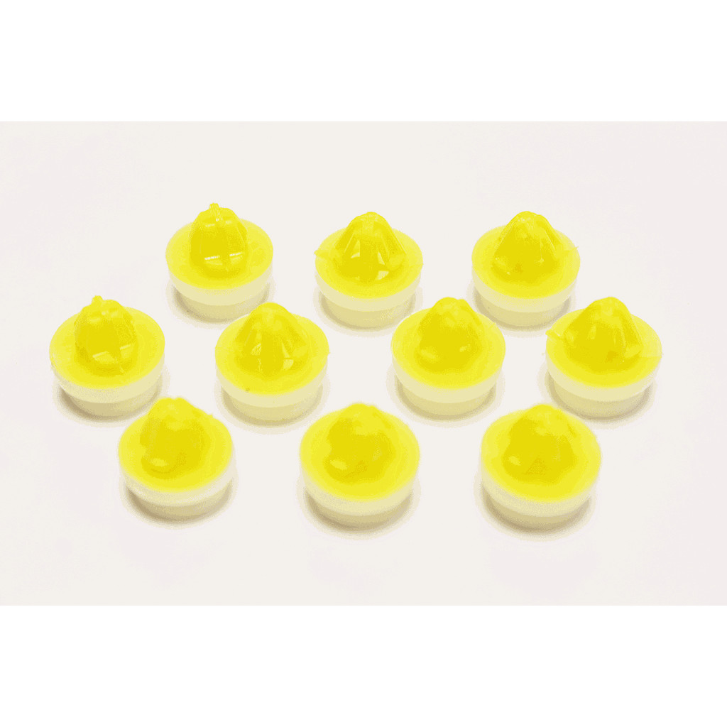 Plast Nail Screw Various Applications