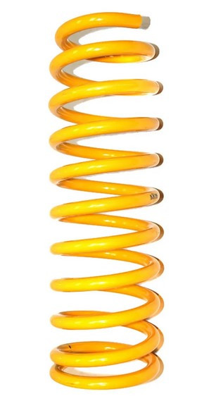Coil Springs, +50 mm, Pair, Rear, Frontera