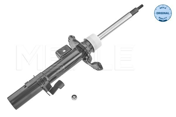 Shock Absorber, Front, Left, Freelander 2