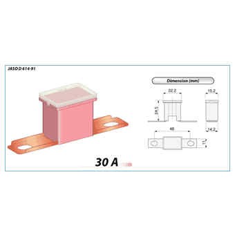 MAIN FUSE 30A PINK